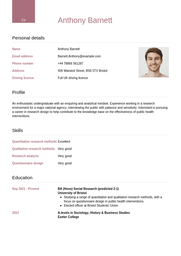 Professional Cv Templates Designs And Layouts Cvwizard