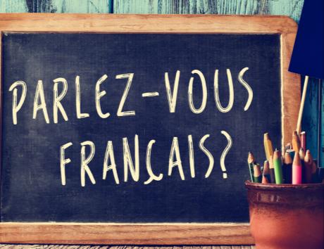 Französischen Lebenslauf