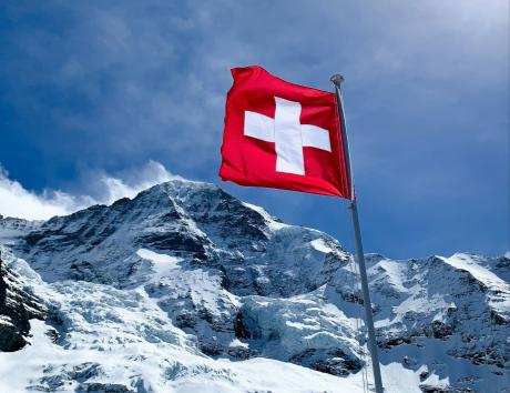 curriculum vitae suíço