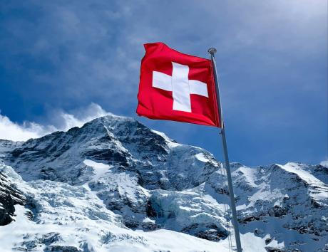 curriculum vitae Svizzera