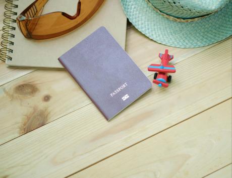 citizenship in resume