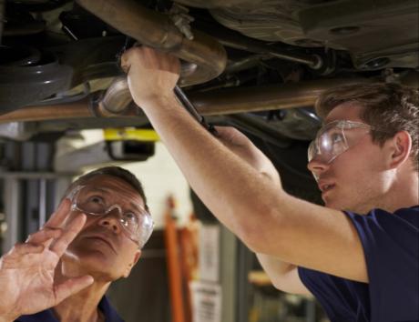 gönüllü staj cv ye yazılır mi