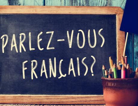 curriculum vitae em francês