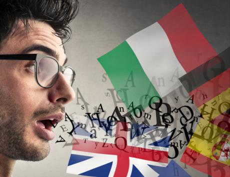 Sprogkundskaber på CV